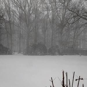 Meet your Posher, Ana